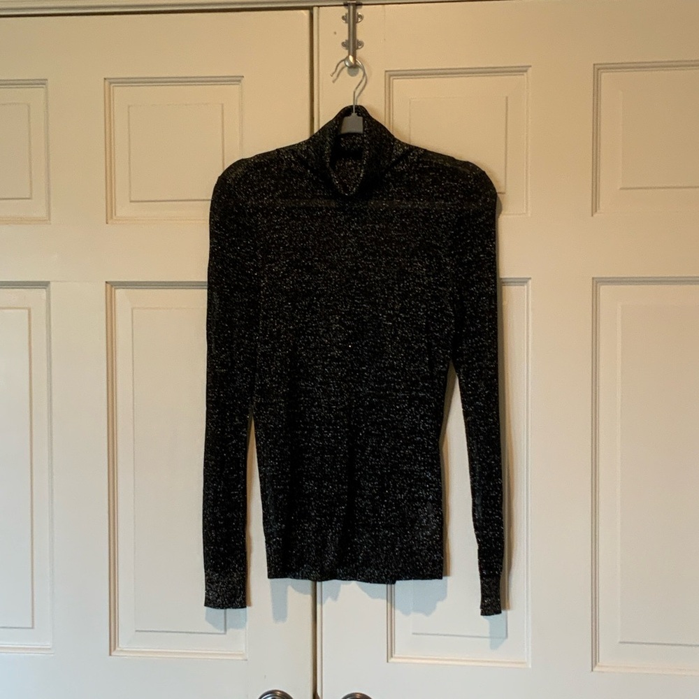 Black Sheer Long Sleeve Turtleneck Top